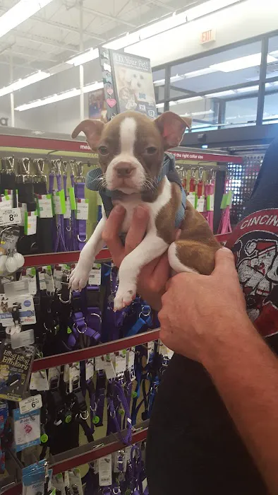 Petco 6