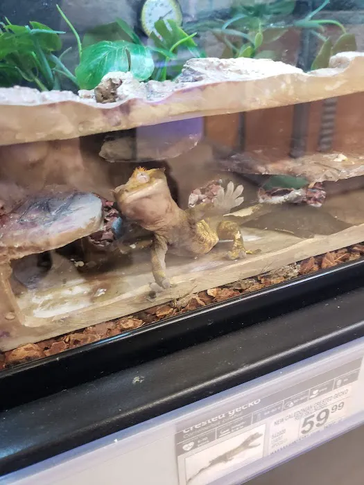 Petco 10
