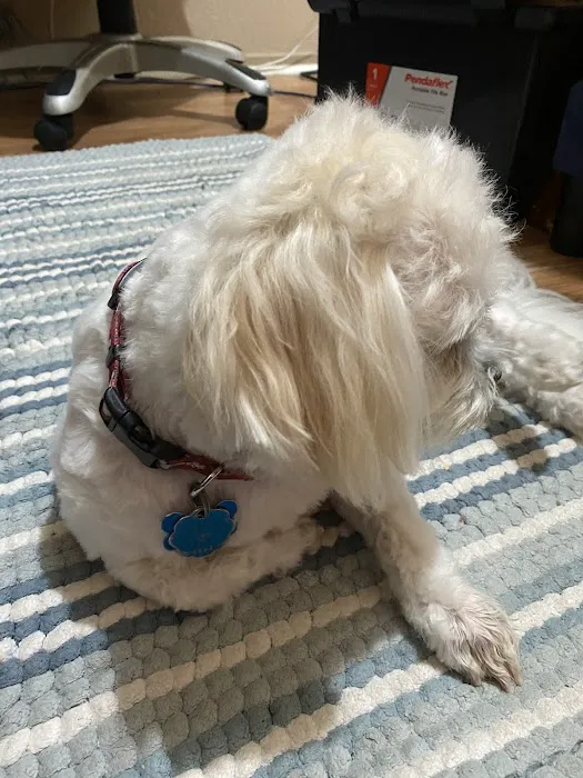 Petco 5