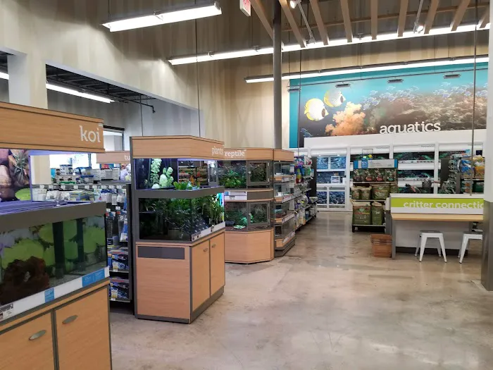 Petco 10