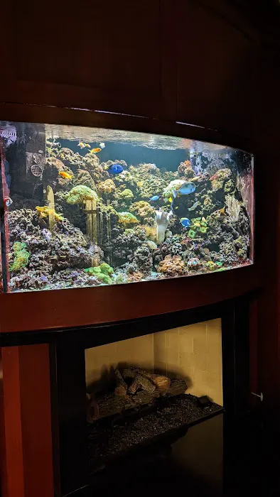 Fish Whisper 6