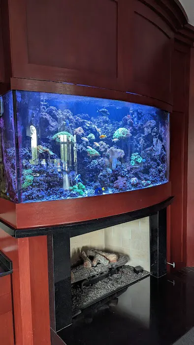 Fish Whisper 8