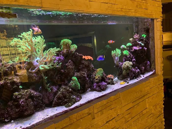 Fish Whisper 10