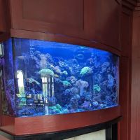 Fish Whisper ico