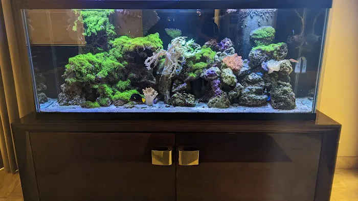 Fish Whisper 4