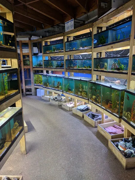 Austin Aqua-Dome 3