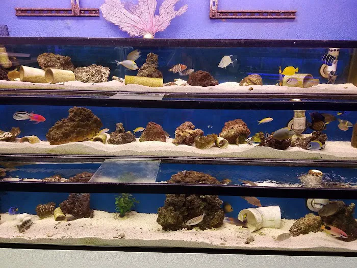 Austin Aqua-Dome 9