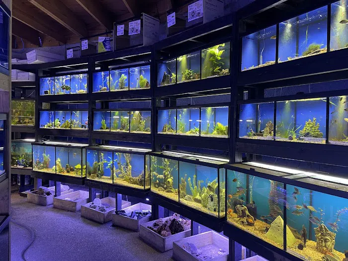 Austin Aqua-Dome 4