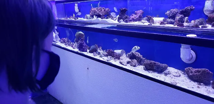 Austin Aqua-Dome 6