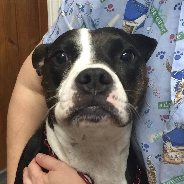 Trinity Ridge Animal Health 12