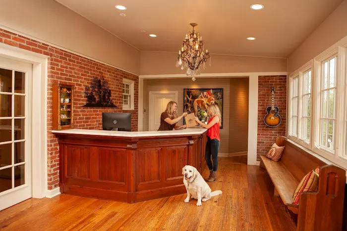 Animalia Health & Wellness 1