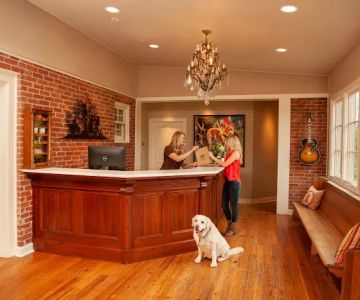 Animalia Health & Wellness