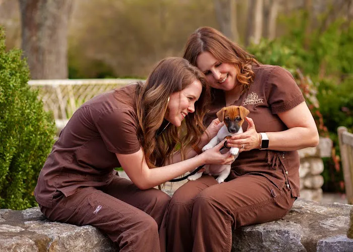Animalia Health & Wellness 7