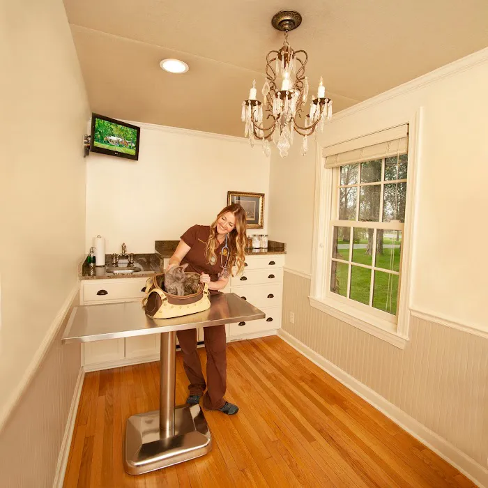 Animalia Health & Wellness 9