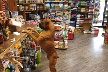 Great Outdogs