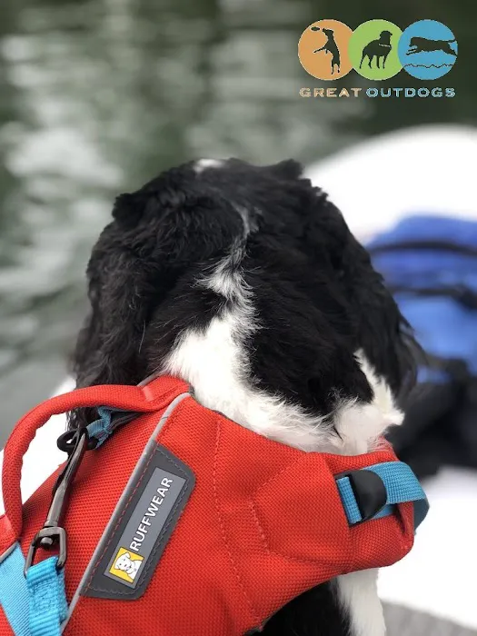 Great Outdogs 3