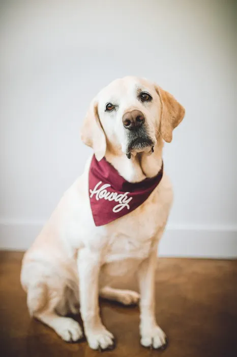 Republic of Texas Veterinary 2