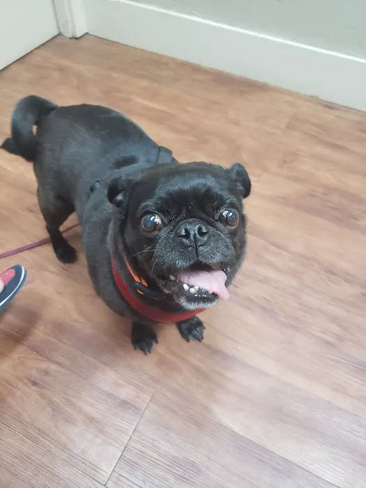Blanco Veterinary Clinic 9