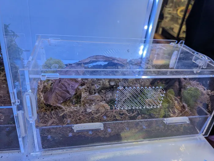 Whole Pets Market 5