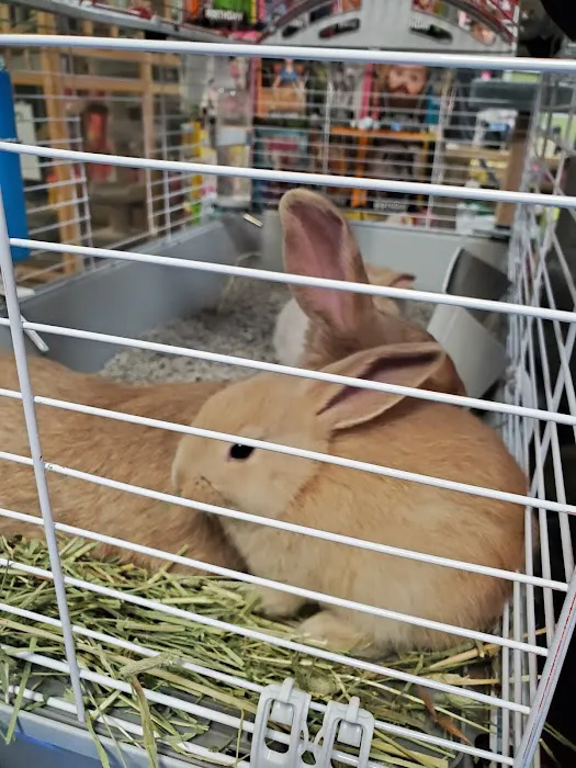 Whole Pets Market 10