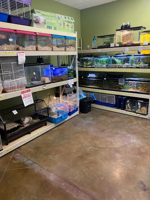 Whole Pets Market 6