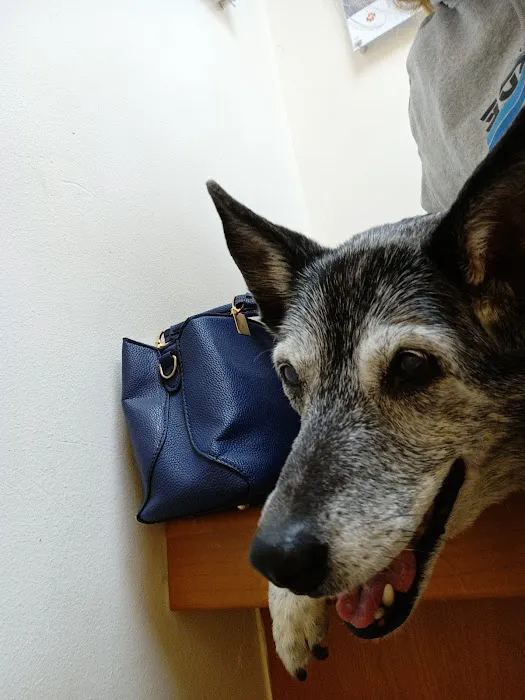 Banfield Pet Hospital 5