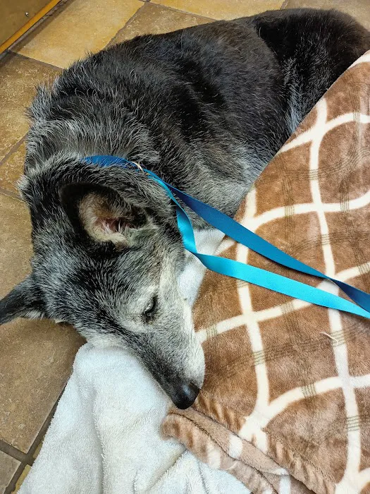 Banfield Pet Hospital 10