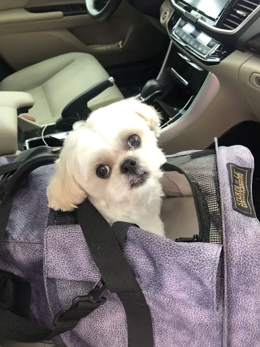 Woof Gang Bakery & Grooming Austin 12