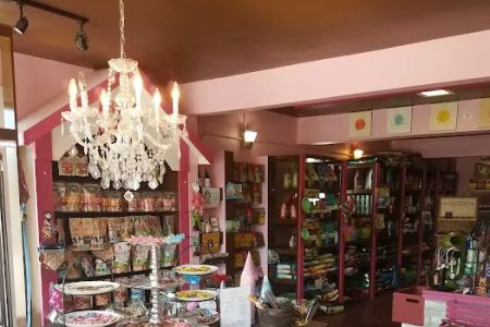 Woof Gang Bakery & Grooming Austin