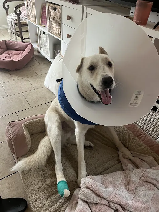 Animal Medical Center of New Braunfels 8
