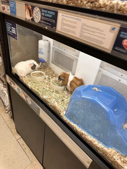 Petco 12