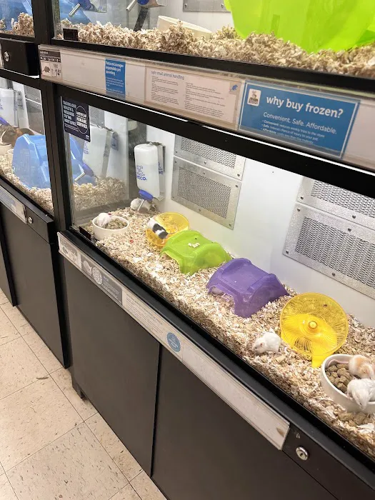 Petco 12