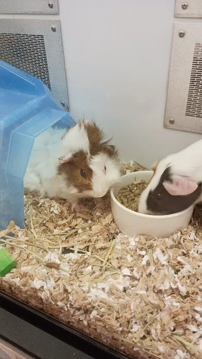 Petco 12