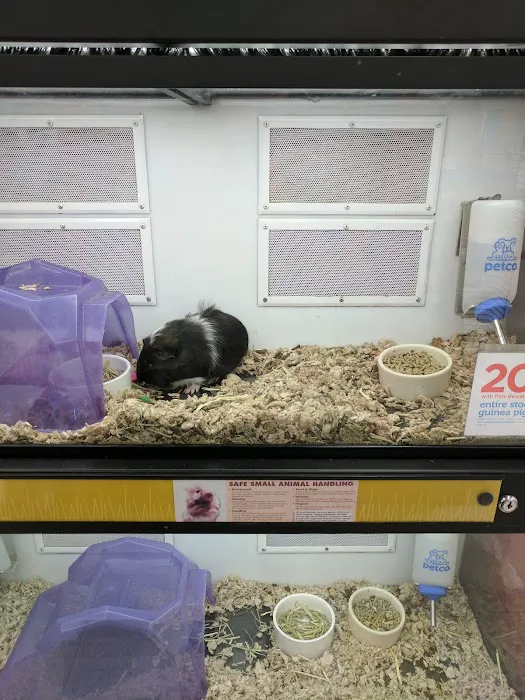 Petco 12
