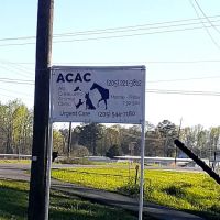 All Creatures Animal Clinic Jasper ico