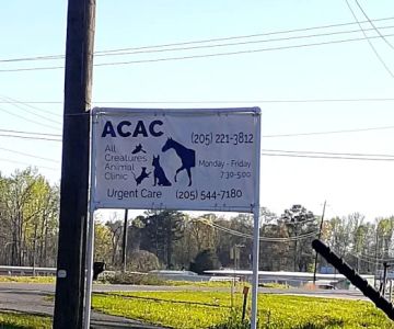 All Creatures Animal Clinic Jasper