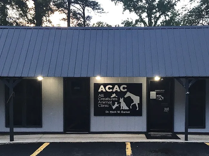 All Creatures Animal Clinic Jasper 7