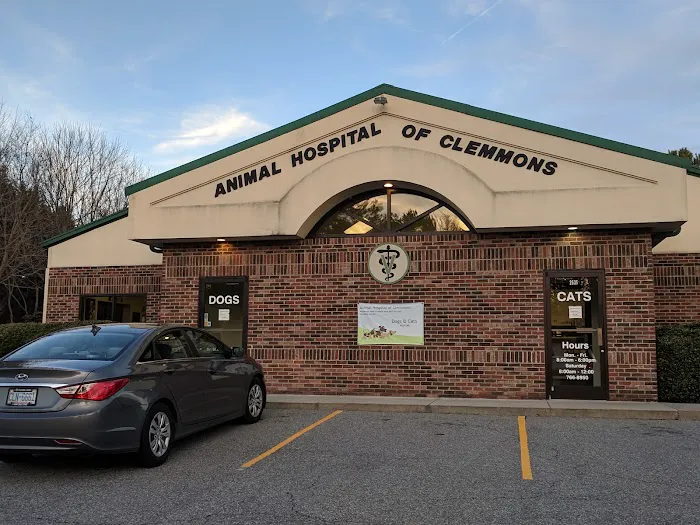 Animal Hospital of Clemmons Pa: Stephens Susan DVM 1
