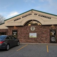 Animal Hospital of Clemmons Pa: Stephens Susan DVM ico