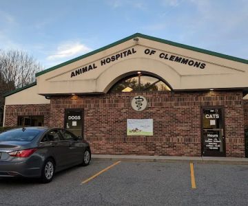 Animal Hospital of Clemmons Pa: Stephens Susan DVM