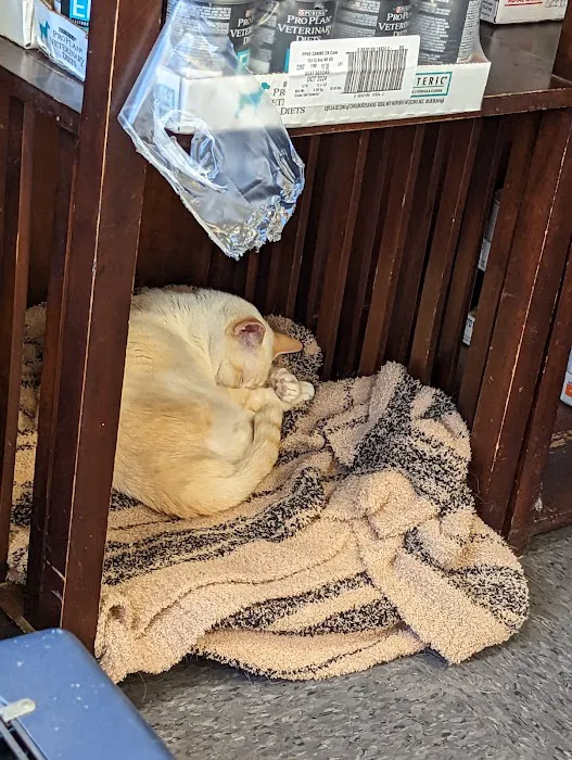 Clemmons Veterinary Clinic 10