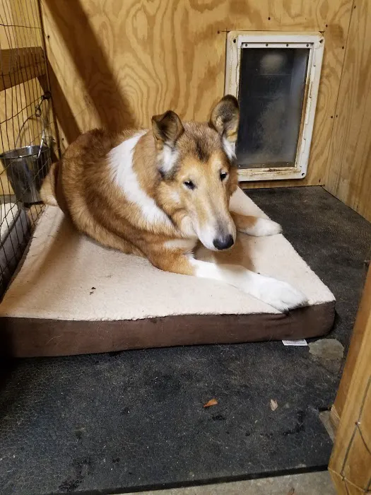 Clemmons Veterinary Clinic 5