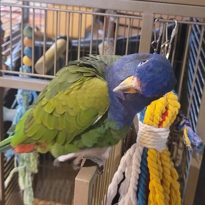 Animal Ark Veterinary Hospital 5