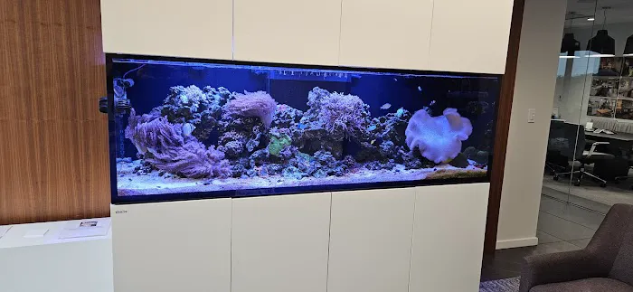 The Aquarium Company 2