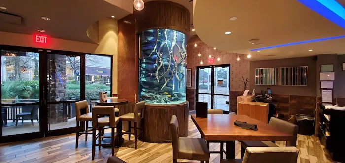 The Aquarium Company 4