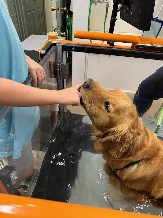 Clemmons Animal Rehab & Therapy 2