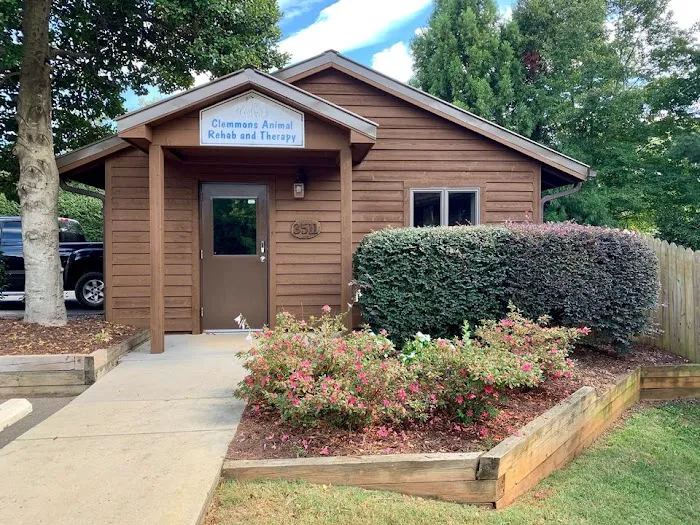 Clemmons Animal Rehab & Therapy 6