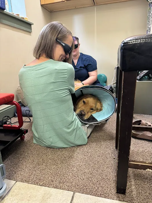Clemmons Animal Rehab & Therapy 5