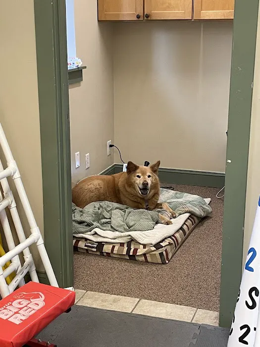 Clemmons Animal Rehab & Therapy 1