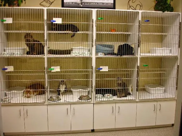 River Ridge Veterinary Hospital 8